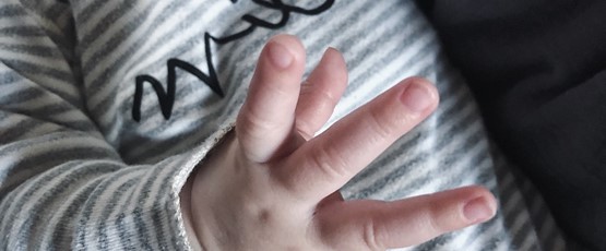 FIVE MONTH