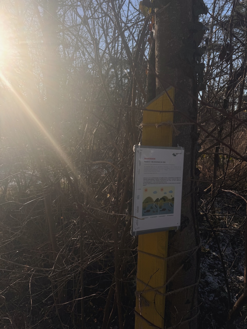 Bild Schatzsuche&Schoggifondue