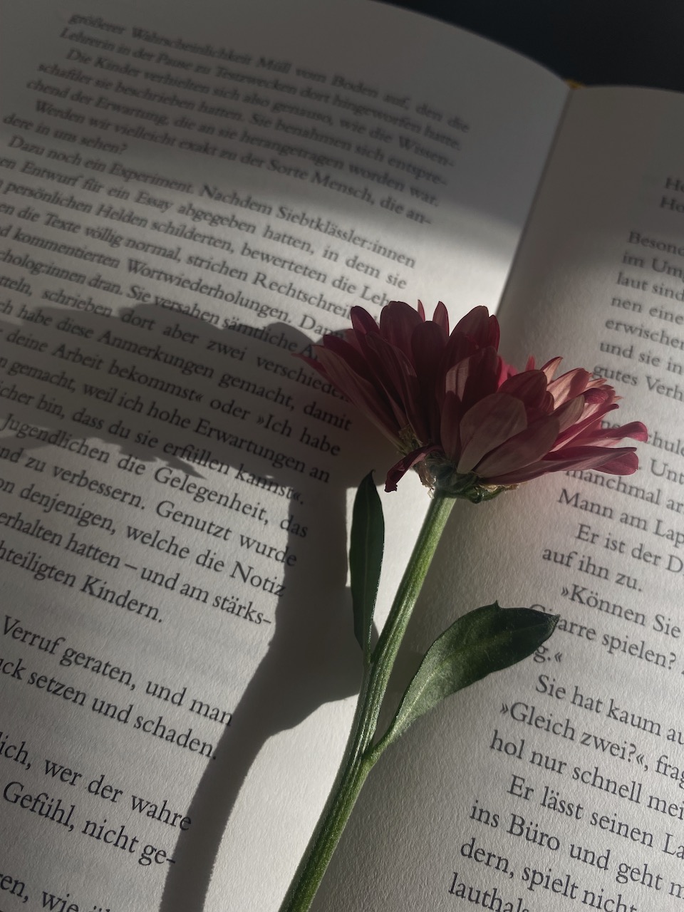 Bild Blume Buch