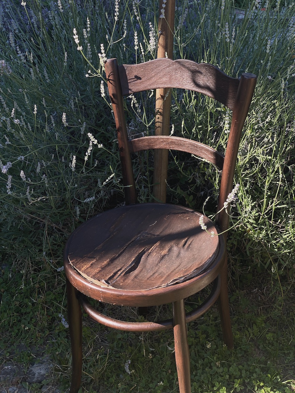 Bild Alter Stuhl