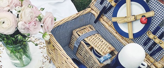 PICKNICK SELECTION
