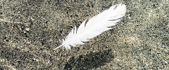 LIKE A FEATHER