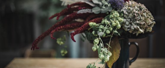 AUTUMN LOVE