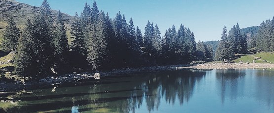 LAKE GANTRISCH