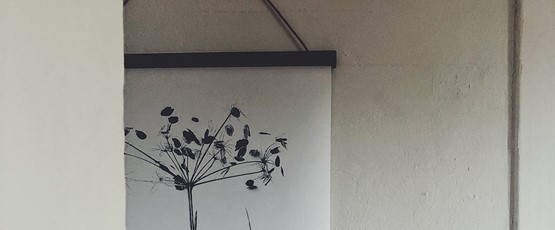 FRAME