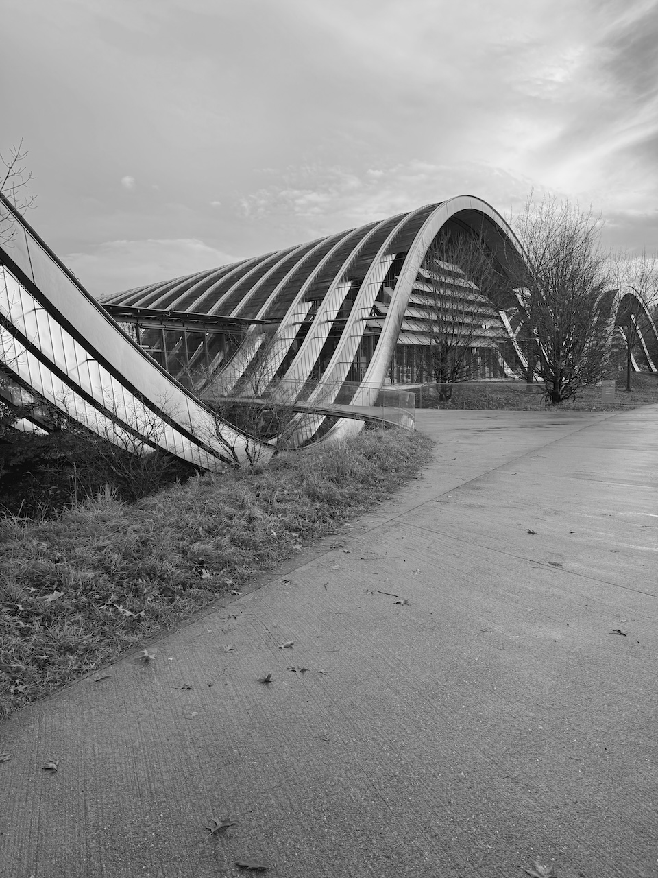 Bild Zentrumpaulklee