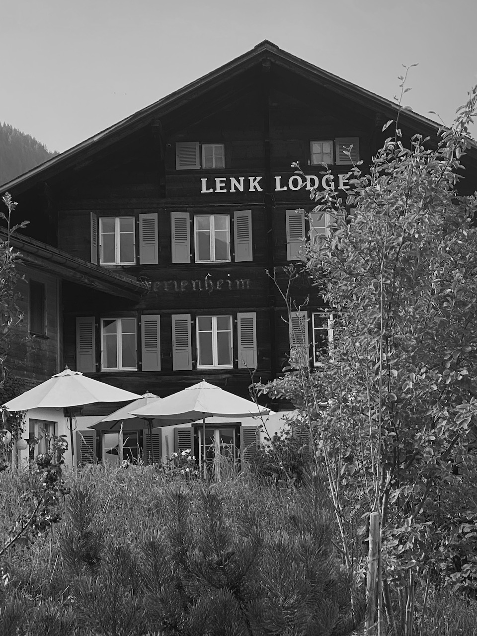 Bild Lenklodge