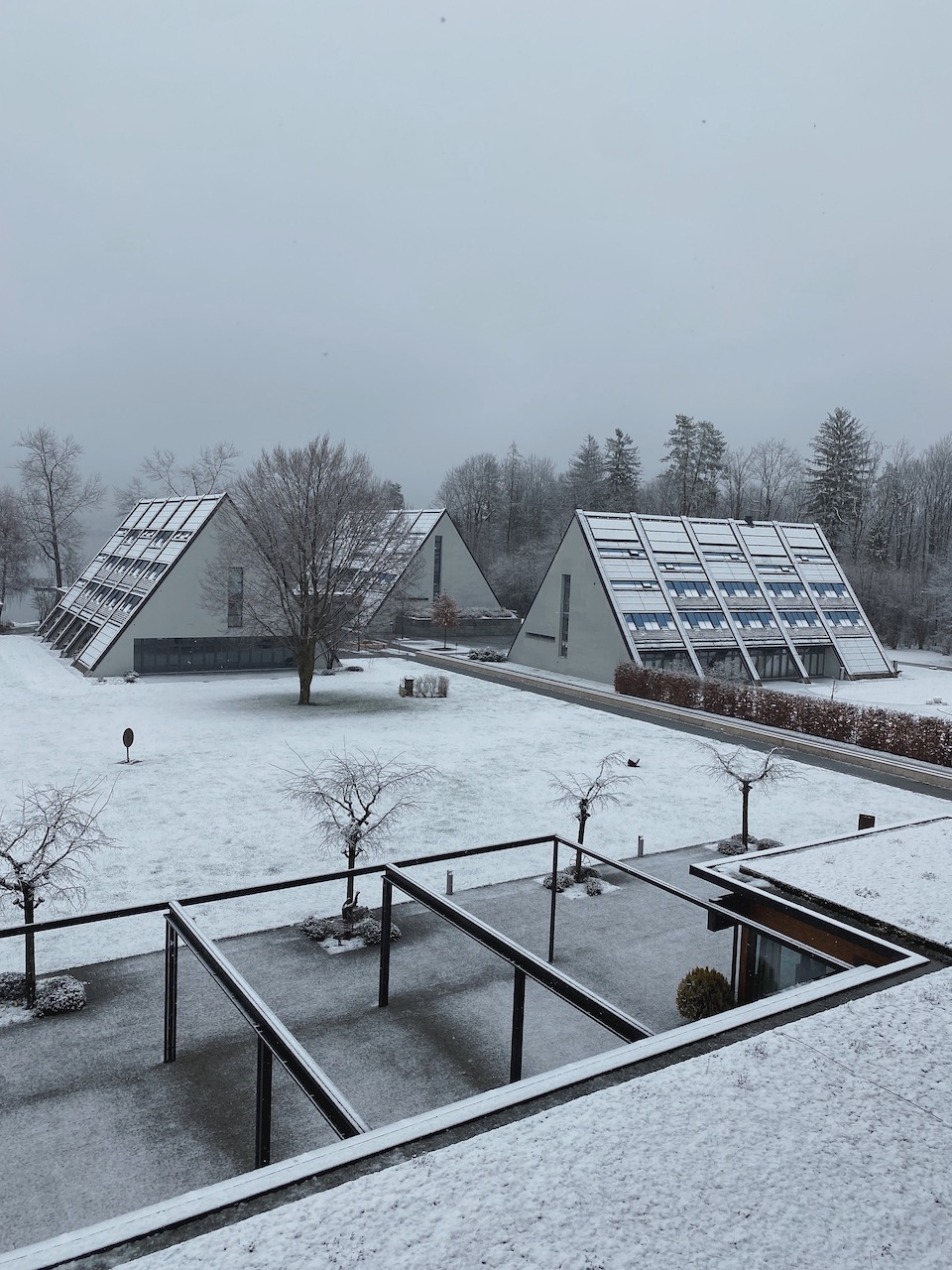 Bild Deltapark Im Schnee