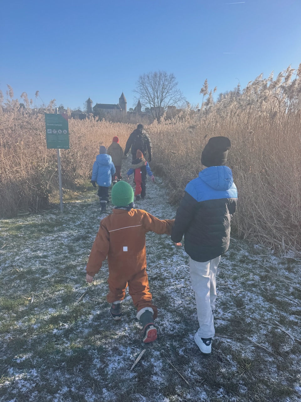 C3CF54B6 F208 48D2 9B2E 94A2F45D7E82