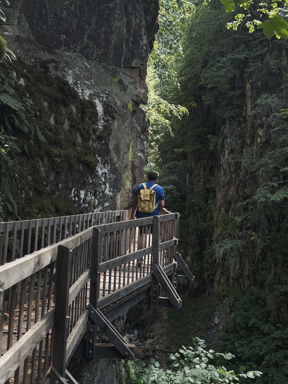 Bild Gorgesdudurnand