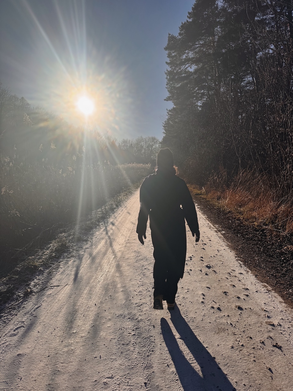 Bild Walking Into 2026