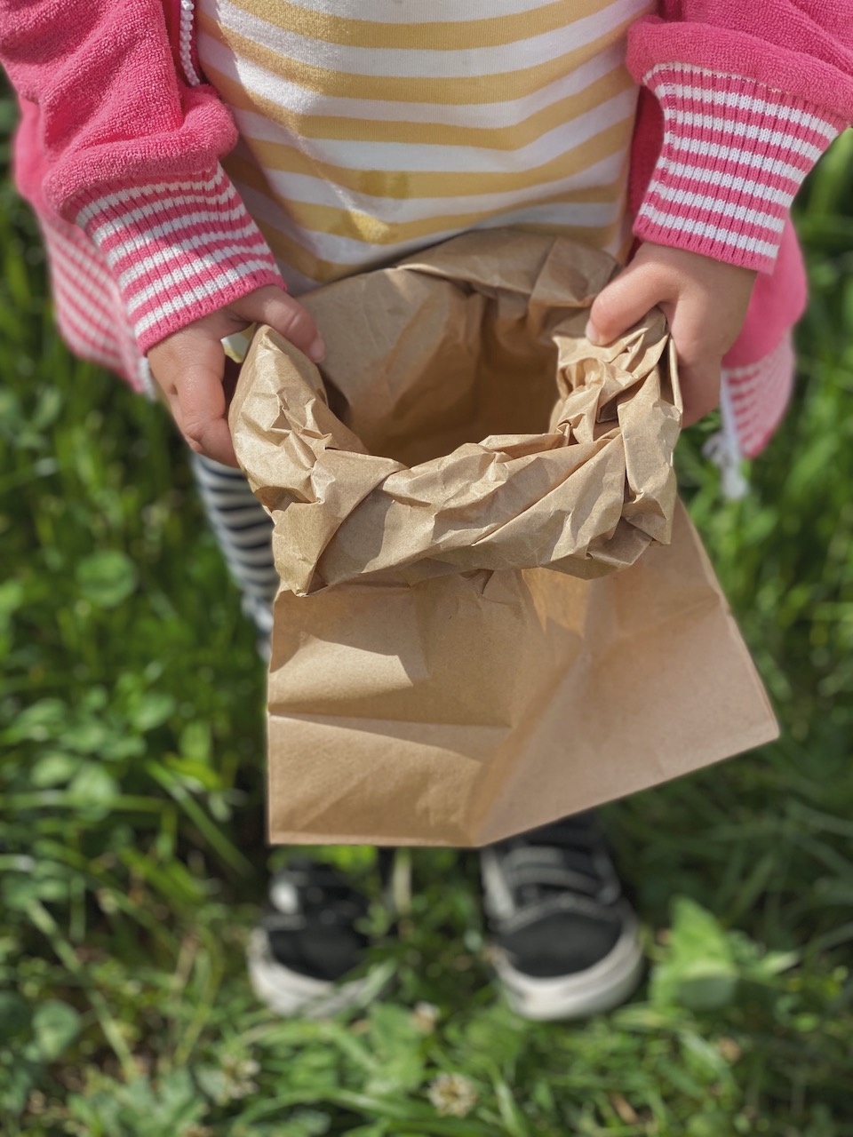 Bild Erdbeeren Pflücken Mit Kindern