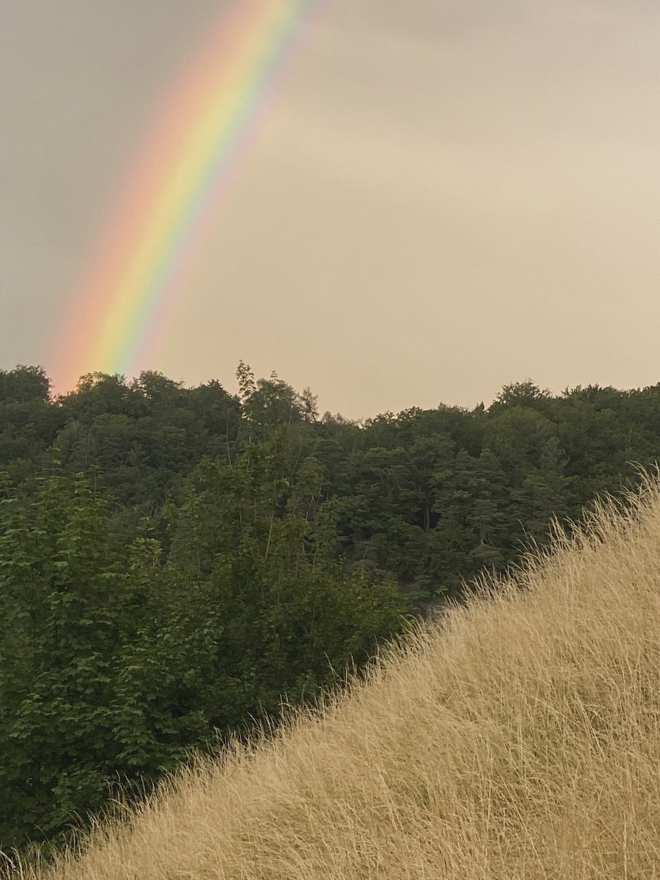 Bild Regenbogen