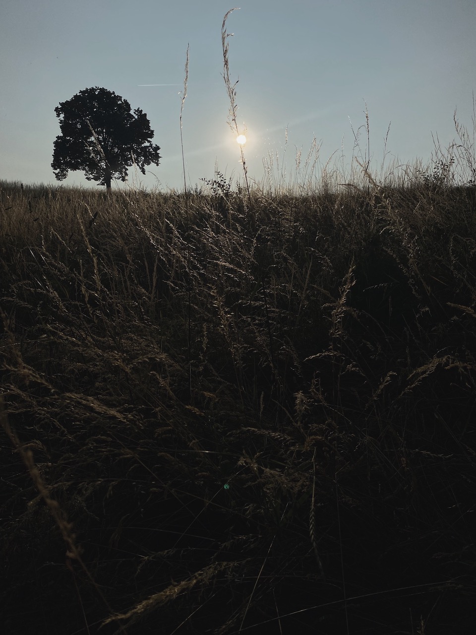 Bild Sonnenuntergang