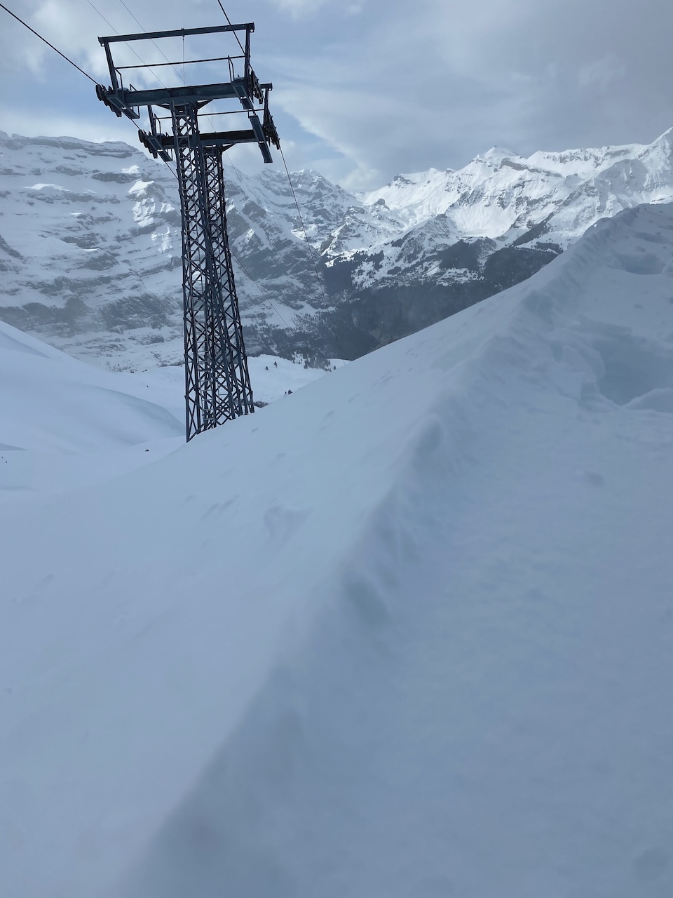 Bild Schlittelweg Grindelwald