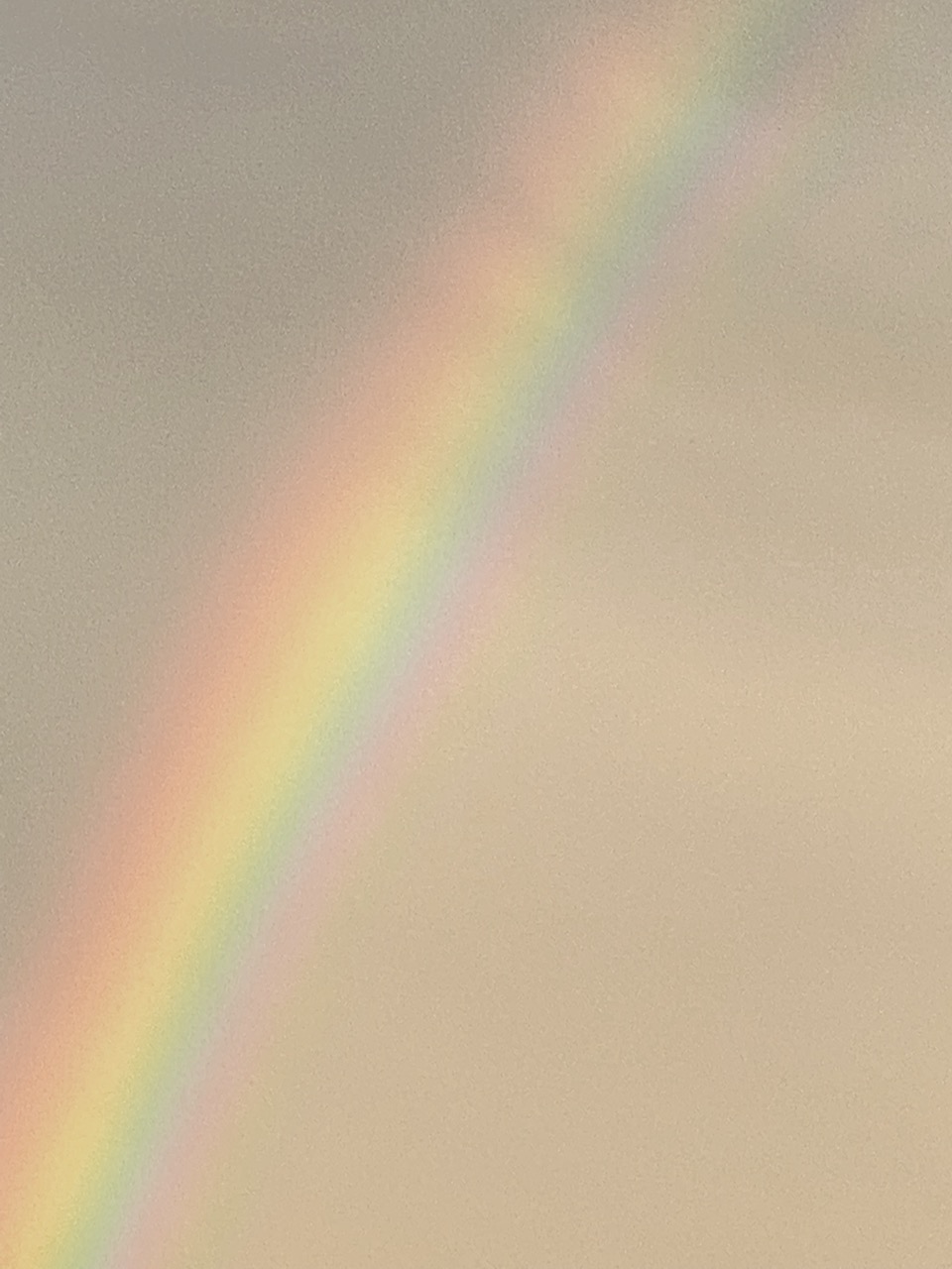Bild Rainbow