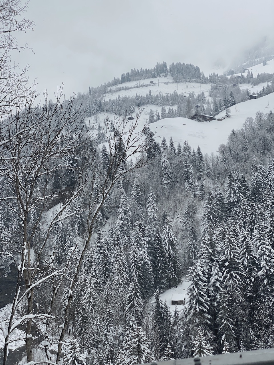 Bild Schneelandschaft