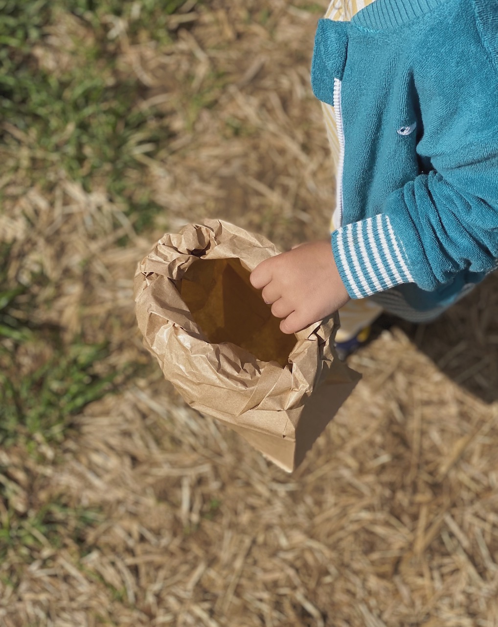 Bild Erdbeeren Sack